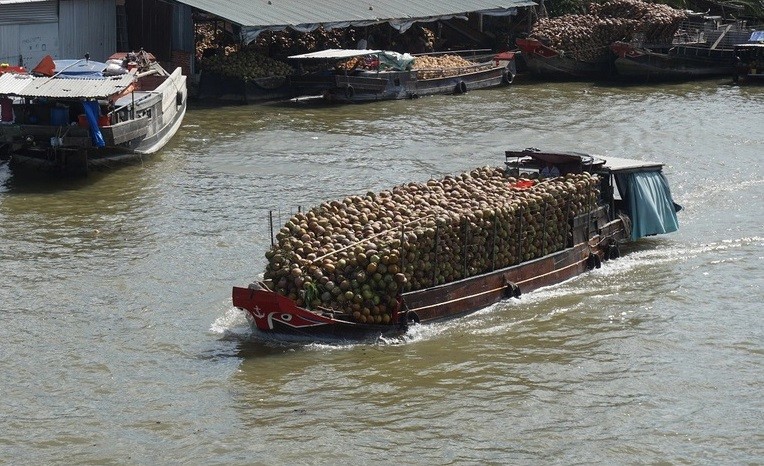 Độc đáo chợ nổi Dừa: Nét đẹp du lịch bên dòng sông Thom (Bến Tre)